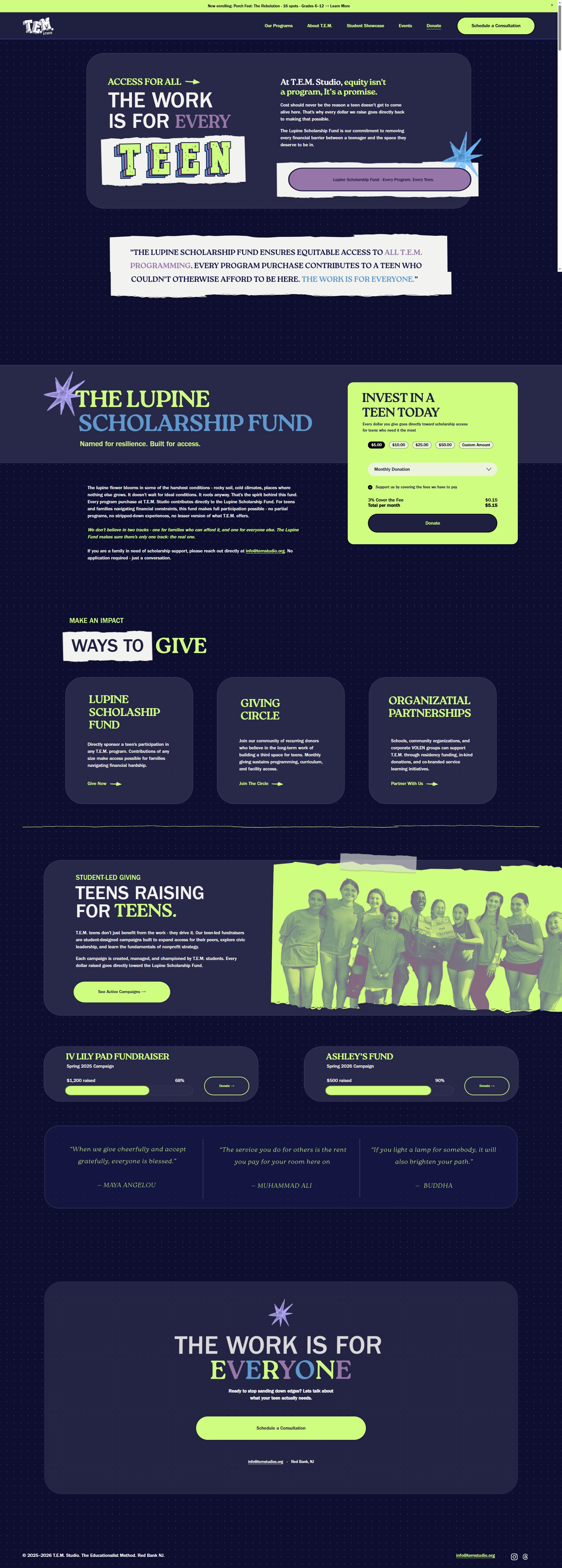 T.E.M. Studios donate page